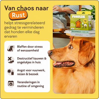 Kalmerende Diffuserset voor Honden