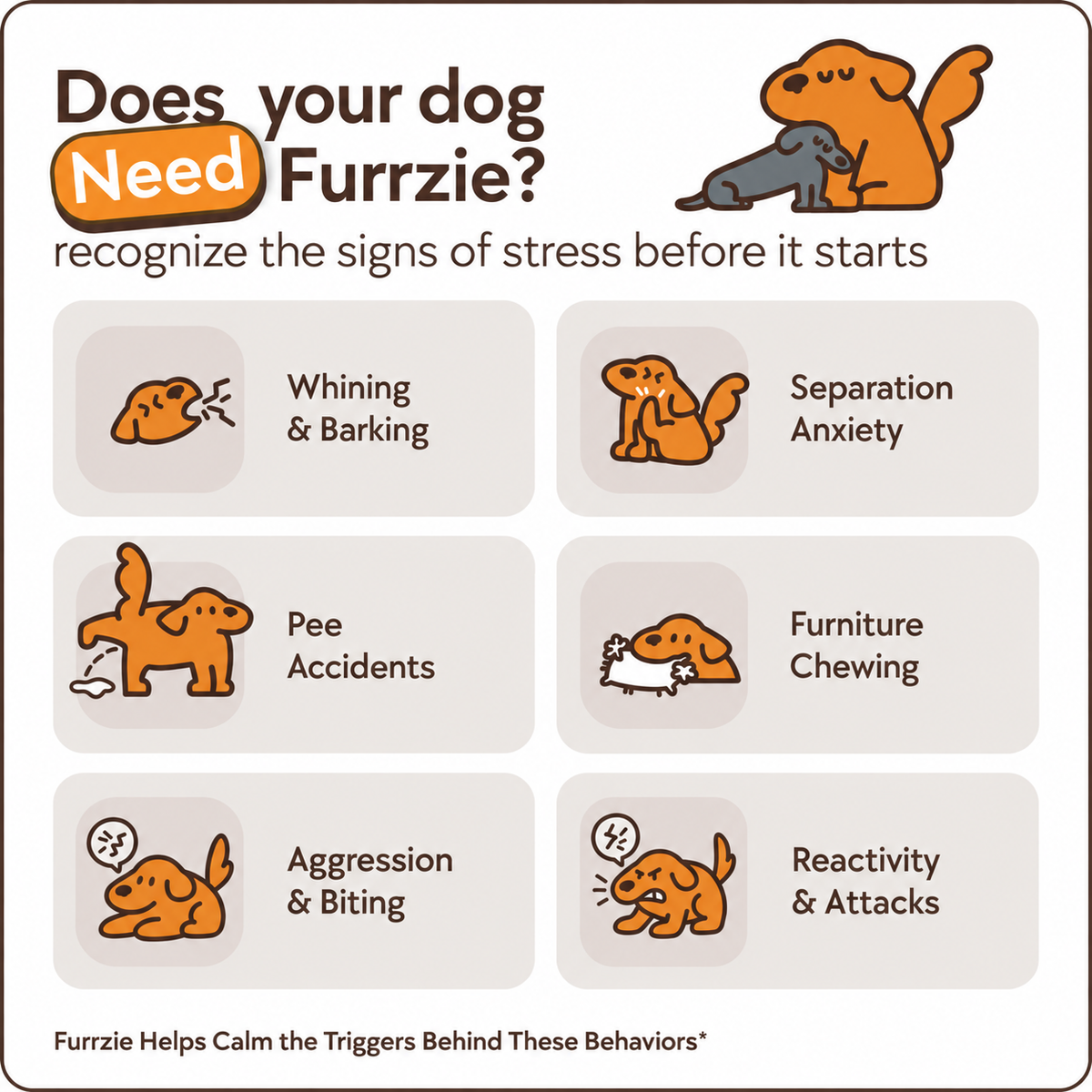 Dogs Calming Diffuser Kit