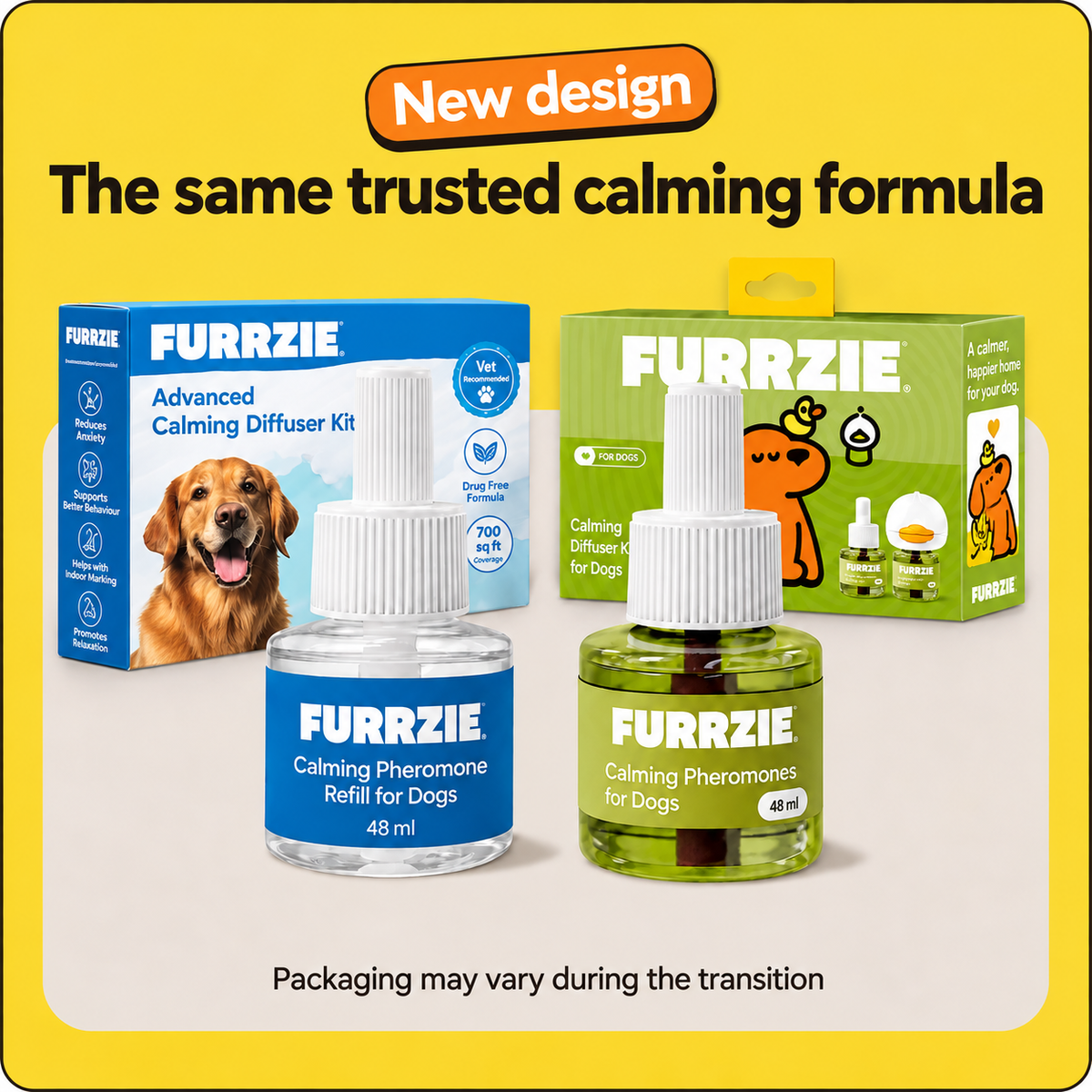 Dogs Calming Diffuser Kit