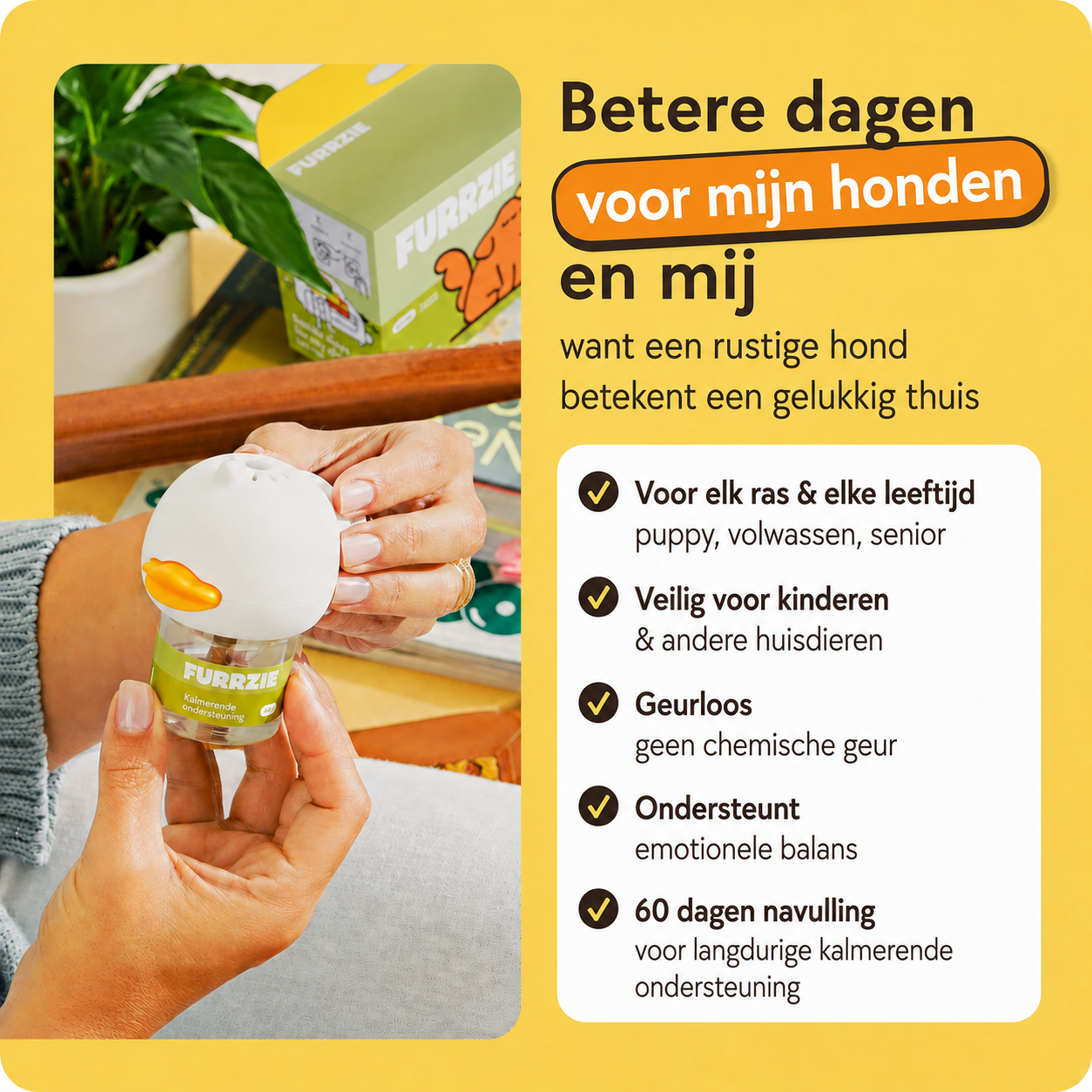 Kalmerende Diffuserset voor Honden