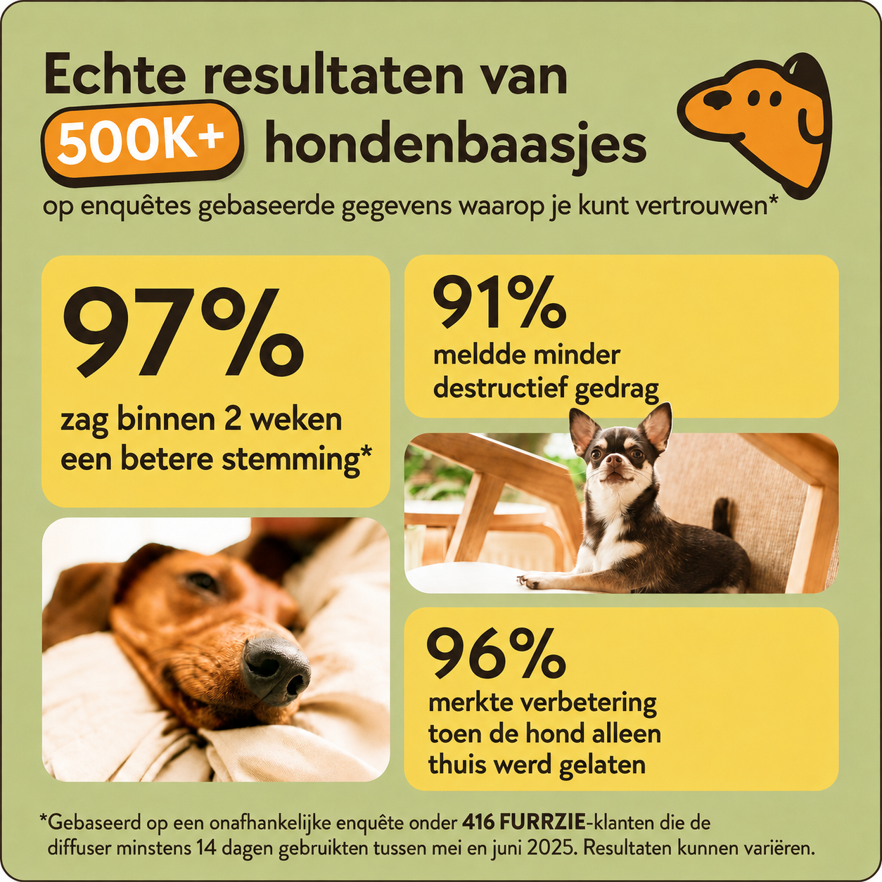 Kalmerende Diffuserset voor Honden